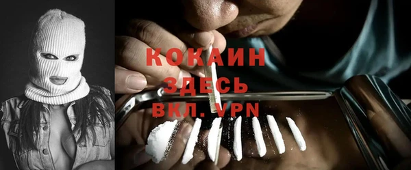 стаф Богородск