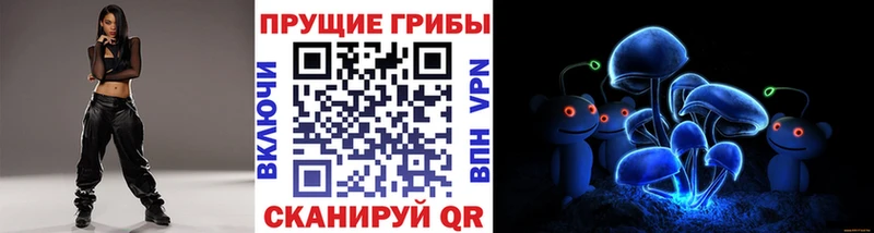 Галлюциногенные грибы Psilocybine cubensis  Нерехта 